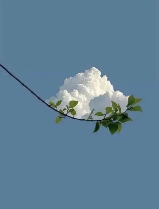 تصویری جالب از خلاقیت در عکاسی!