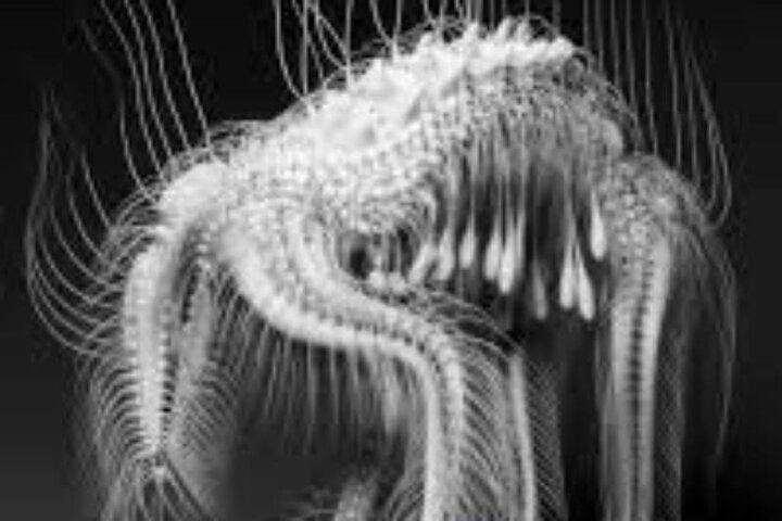 ترسناک‌ترین موجود تاریخ!