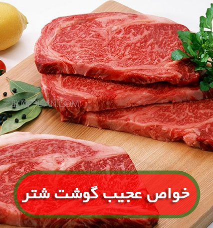 فواید عجیب گوشت شتر برای بدن