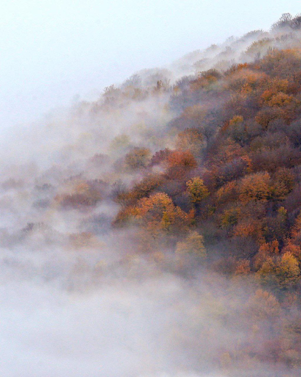 طبیعت زیبای جنگلی اسالم به خلخال