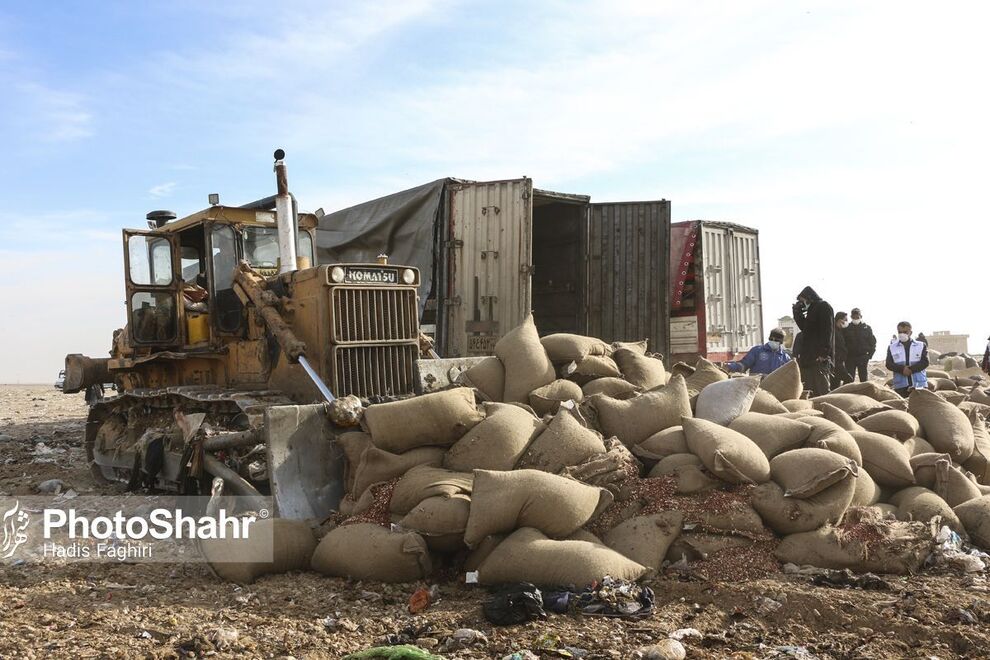 عکس/ معدوم سازی ۹۲ تُن بادام زمینی کپک زده در مشهد