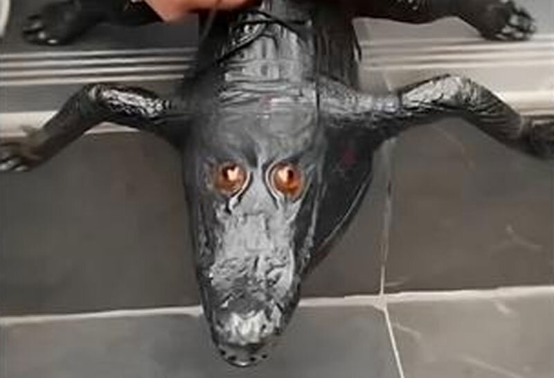 جابه‌جایی ترسناک مرزهای دنیای مُد؛ کفش کروکودیلی!