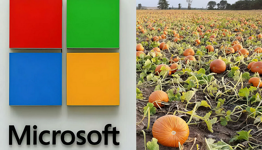 مایکروسافت 76 میلیون دلار برای خرید یک مزرعه کدو تنبل پرداخت کرد