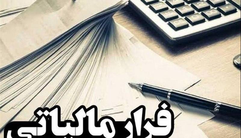 کشف فرار مالیاتی ۳۶۳ میلیارد تومانی شرکت فعال در صنعت چوب