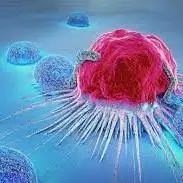 پژوهشگران با ارتعاش مولکولی 99 درصد سلول‌های سرطانی را در آزمایشگاه نابود کردند