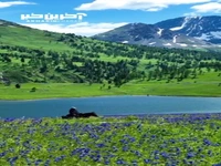 طبیعت خیره کننده منطقه آلتای شرق قزاقستان