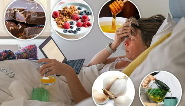۶ غذای تقویت کننده سیستم ایمنی که باید هنگام بیماری بخورید؛ از ماست تا سیر و شکلات