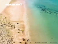 ساحل لاک‌پشت‌ها در آب‌های جنوبی ایران