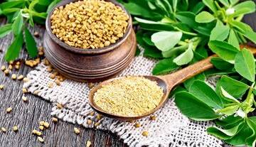خواص معجزه‌آسا و درمانی این گیاه برای سلامتی