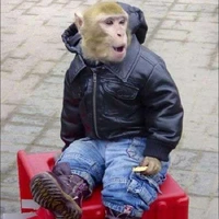وای قیافه این میمون ببین!