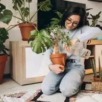 اشتباهات در مراقبت از گیاه آپارتمانی 