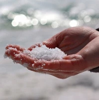 سرطان‌زایی نمک دریا و سنگ نمک / کاهش خطر سرطان روده بزرگ با مصرف لبنیات
