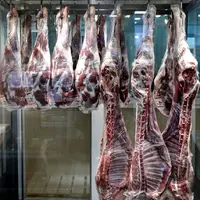 محکومیت شرکت تعاونی متخلف گوشت قرمز در اهواز