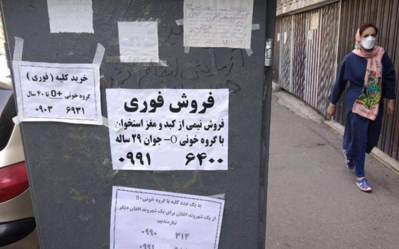 بازار عجیب و غریب فروش اعضای بدن؛ از کلیه 800 میلیونی تا کبد 1 میلیارد و 600 میلیونی!