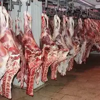 نماینده اصفهان: بالاترین قیمت گوشت قرمز باید ۳۵۰ هزار تومان باشد!