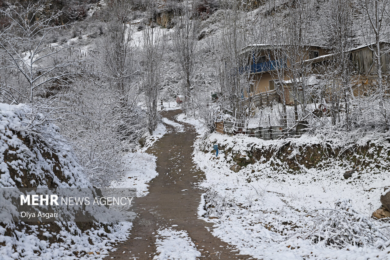 عکس/ زمستان برفی روستای تاریخی و گردشگری زیارت گرگان