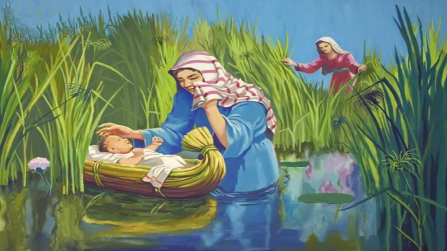شباهتهای خواهر موسای نبی با حضرت زینب (س)