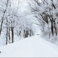 نماهنگ «برف» با صدای بابک جهانبخش همراه با مناظر برفی 