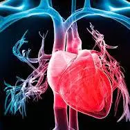 بیماری روماتیسم قلبی چیست؟