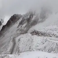 چهار مفقودی ارتفاعات مالیموس شهرستان سردشت پیدا شدند