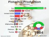 بزرگترین تولیدکنندگان پسته در جهان در ۴۰ سال اخیر؛ جایگاه ایران کجاست؟ 