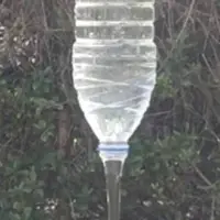 سریع ترین حالت خالی شدن بطری آب به کمک فیزیک