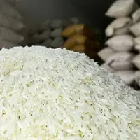 بررسی راهکار‌های خرید مناسب برنج از کشاورزان گیلانی