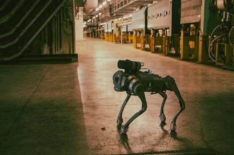 پرسه‌زنی سگ رباتیک در بزرگ‌ترین آزمایشگاه فیزیک ذرات جهان/ عکس