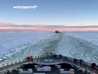 منظره ای منحصربفرد در سواحل قطب جنوب