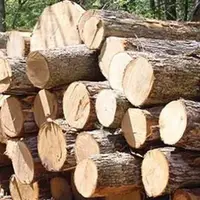 کشف ۸ تن چوب‌آلات جنگلی قاچاق در آمل