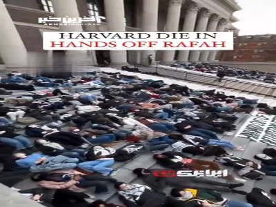 حمایت دانشجویان دانشگاه هاروارد از مردم غزه