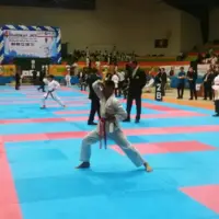 رقابت کاراته‌کا‌های خراسان‌جنوبی روی تاتامی بین‌المللی