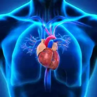 ارتباط بین بیماری های قلبی و کلیه