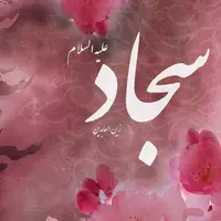 مردم امام سجاد(ع) رو نشناختند