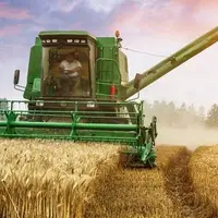 خرید ۵۸ هزار تن گندم در آذربایجان‌ شرقی