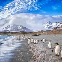 منظره ای شگفت انگیز از قطب جنوب