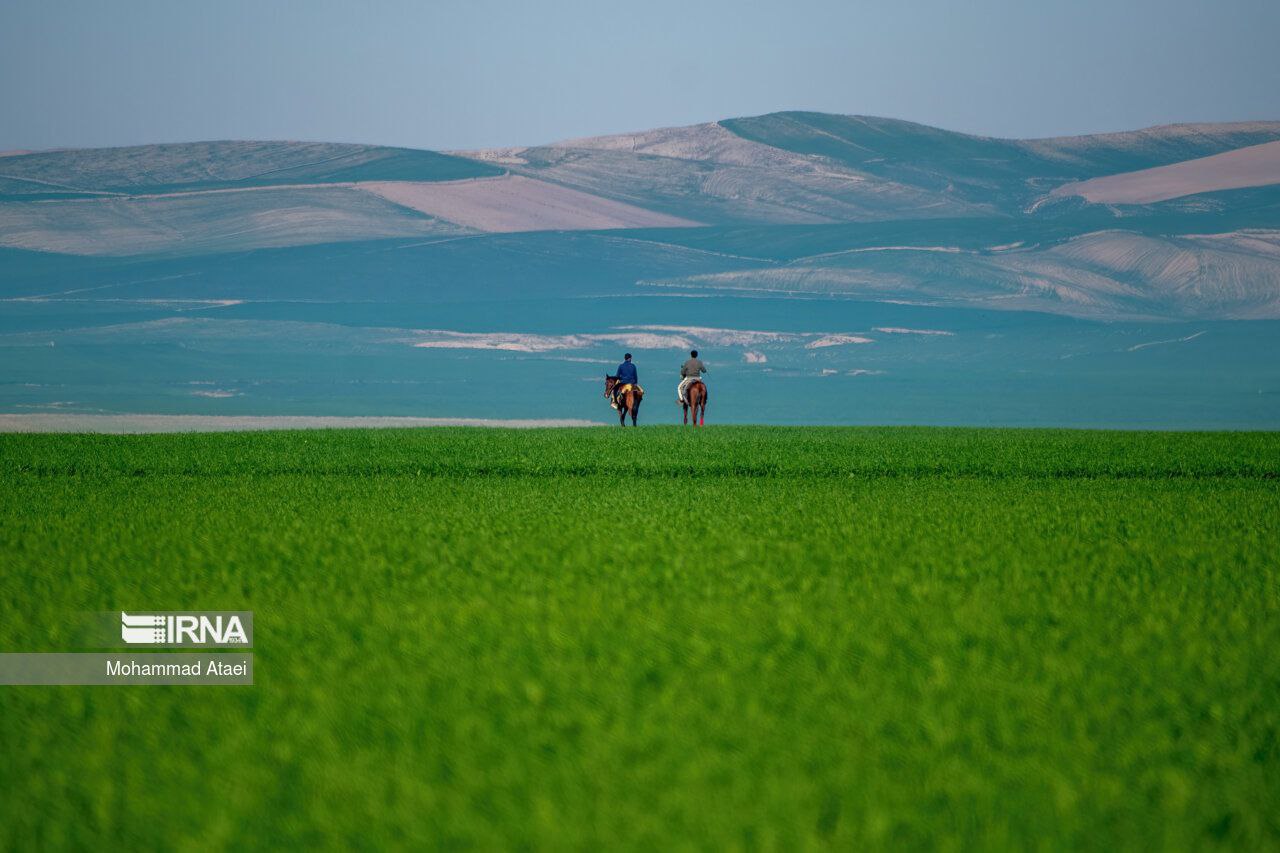 عکس/ ترکمن صحرای زیبا