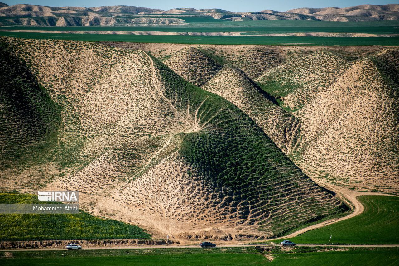 عکس/ ترکمن صحرای زیبا