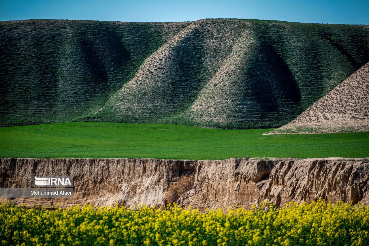 عکس/ ترکمن صحرای زیبا