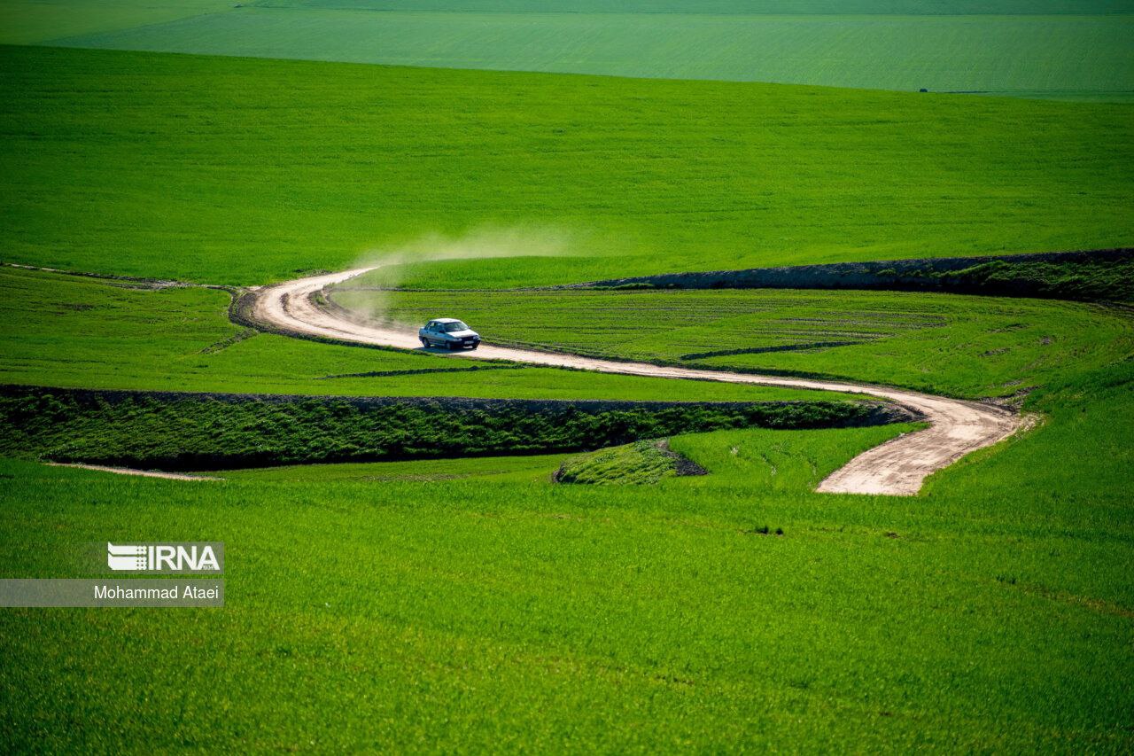 عکس/ ترکمن صحرای زیبا