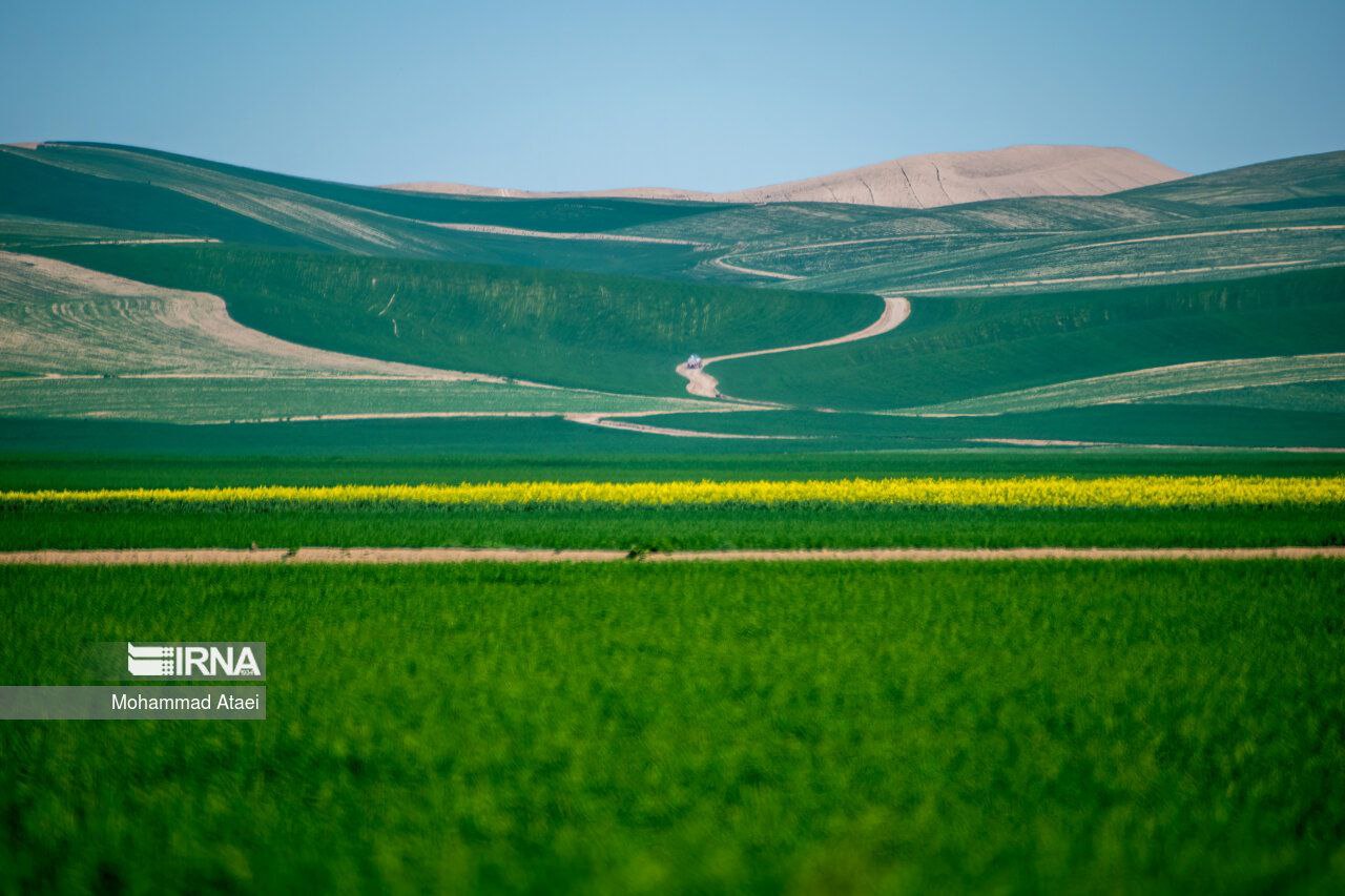 عکس/ ترکمن صحرای زیبا