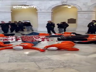 پرفورمنس اعتراضی حامیان فلسطین در ساختمان کنگره و مجلس سنای آمریکا