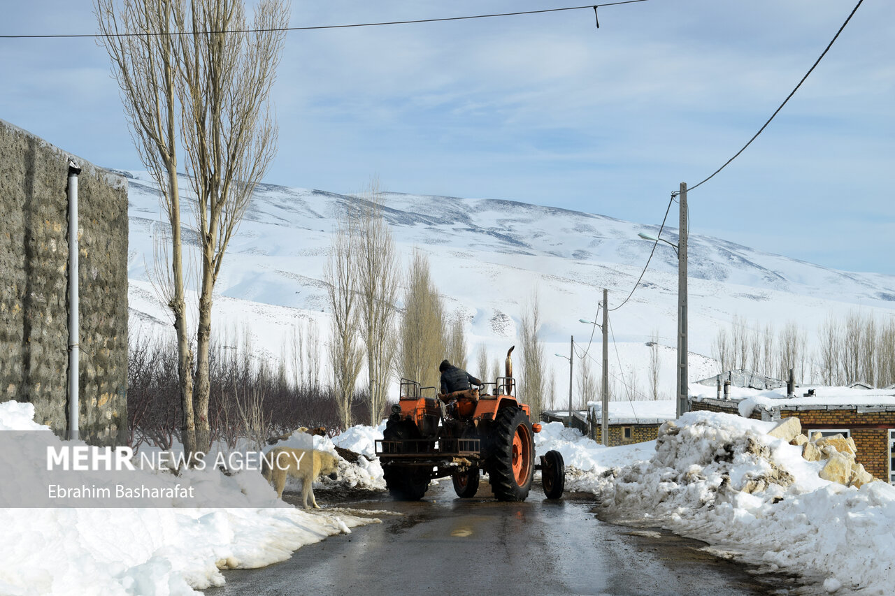 عکس/ طبیعت برفی شهرستان مرزی اشنویه