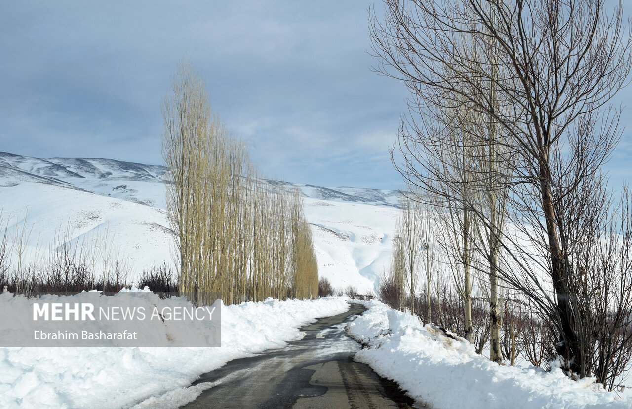 عکس/ طبیعت برفی شهرستان مرزی اشنویه