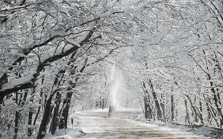 چتر سفید زمستان بر سر پارک ملی گلستان