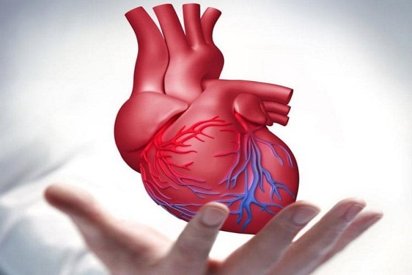 بیماری‌های قلبی عروقی علت ۴۳ درصد مرگ‌و‌میرها در غرب اهواز