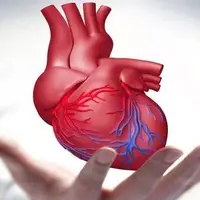 بیماری‌های قلبی عروقی علت ۴۳ درصد مرگ‌و‌میرها در غرب اهواز