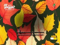 نماهنگ ترانه «بی طاقت» با صدای علی لهراسبی 