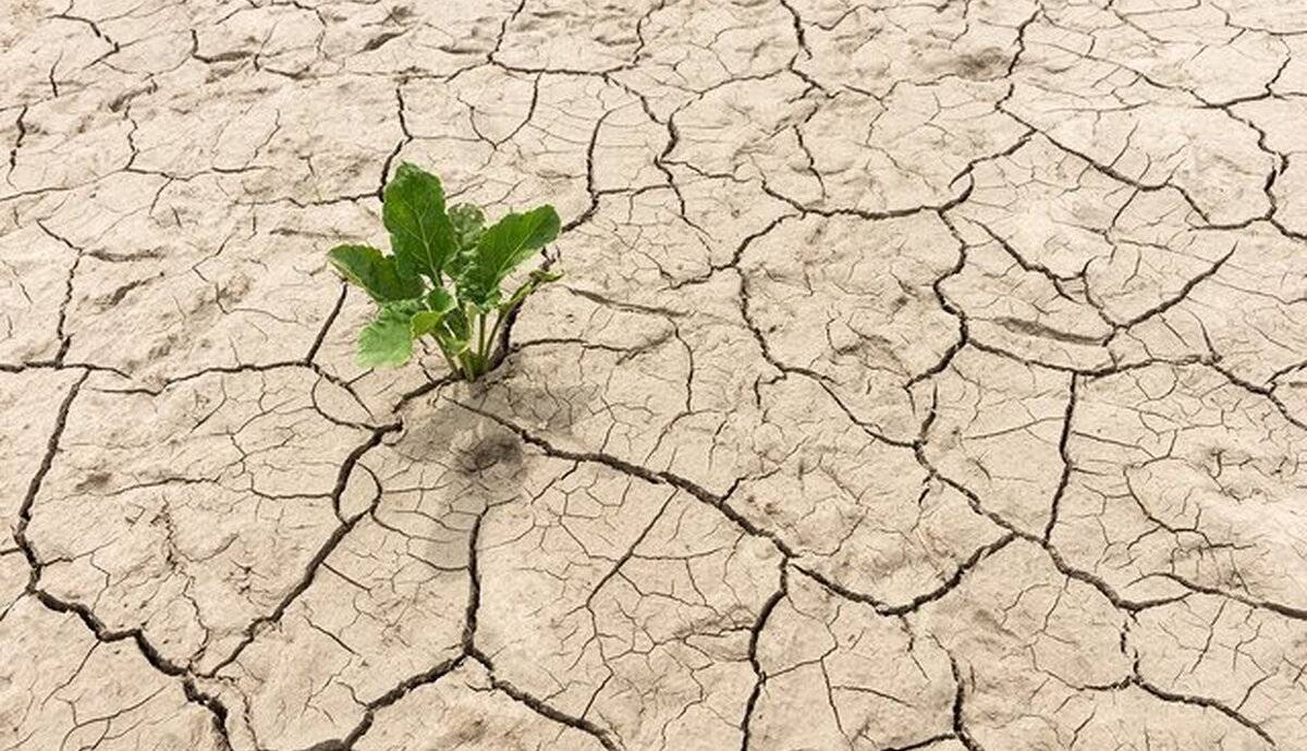آغاز تشدید خشکسالی در ایران از ۳۰ سال قبل