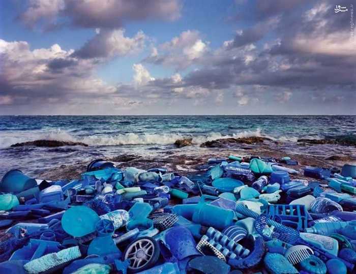 عکس/ ساحلی که با زباله های 50 کشور جهان تزئین شده است